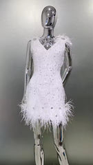 Luxury Feather Sequins Embroidery Regular Fit Mini Dress