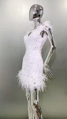 Luxury Feather Sequins Embroidery Regular Fit Mini Dress