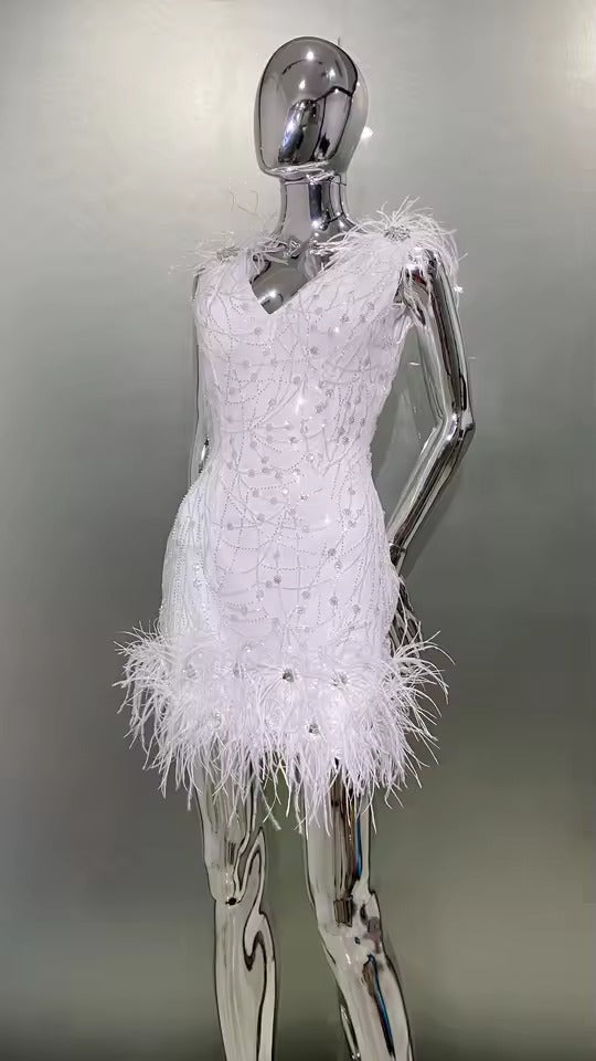 Luxury Feather Sequins Embroidery Regular Fit Mini Dress