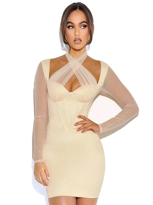 Elegant Long Sleeve Mesh Hot Club Dress