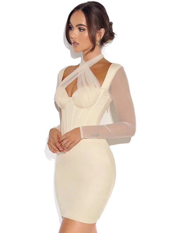 Elegant Long Sleeve Mesh Hot Club Dress