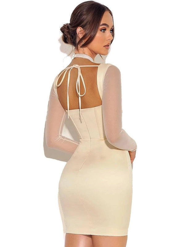 Elegant Long Sleeve Mesh Hot Club Dress