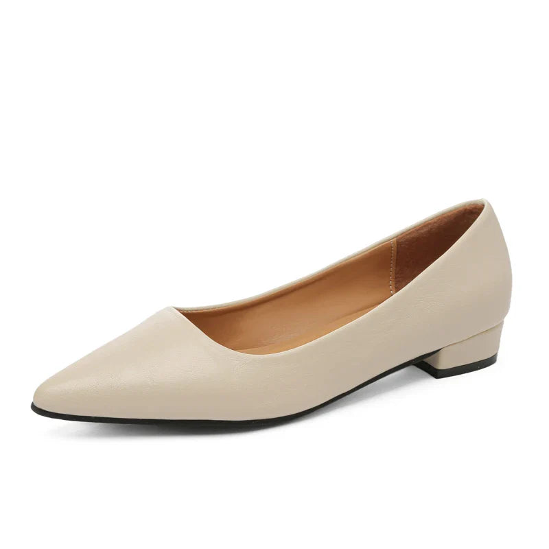 Pointed Toe Shallow Mouth Square Heel