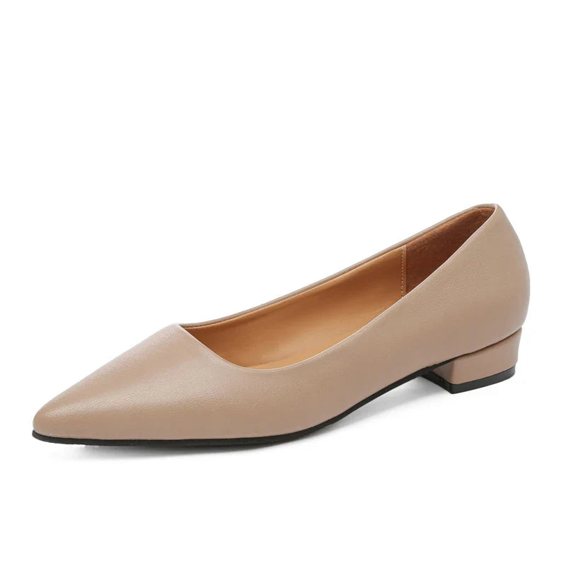 Pointed Toe Shallow Mouth Square Heel