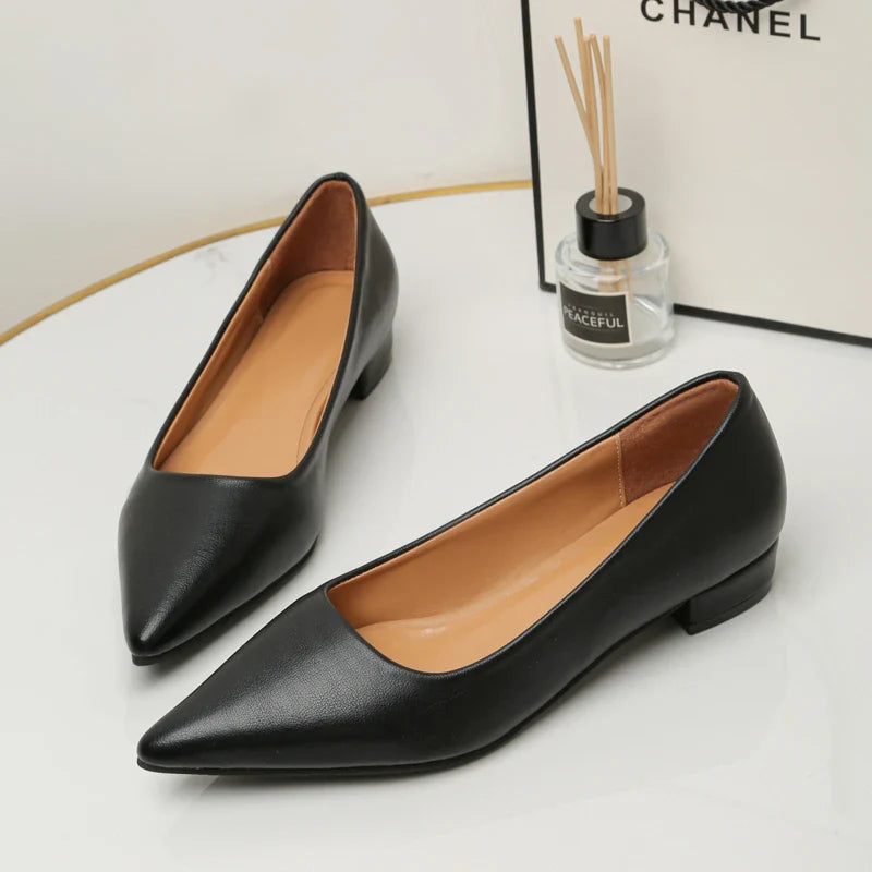 Pointed Toe Shallow Mouth Square Heel