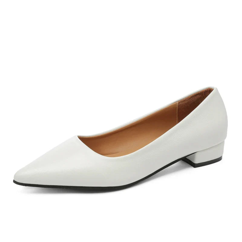 Pointed Toe Shallow Mouth Square Heel