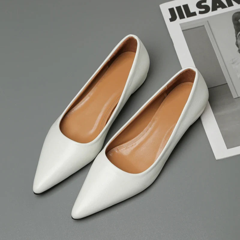Pointed Toe Shallow Mouth Square Heel