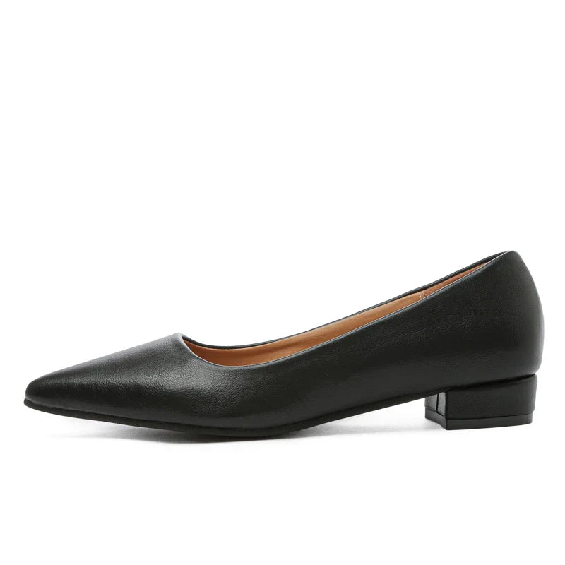 Pointed Toe Shallow Mouth Square Heel
