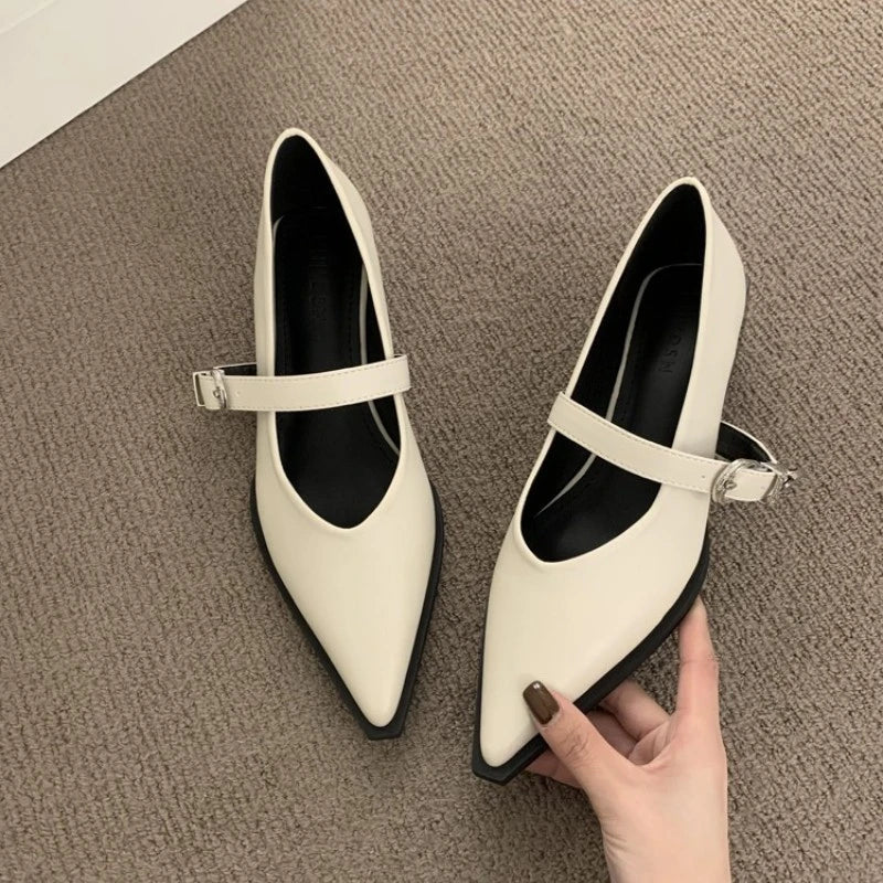 Elegant Pointed Toe Heel