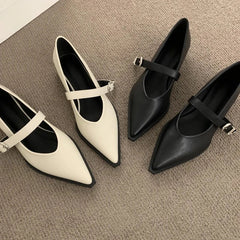 Elegant Pointed Toe Heel