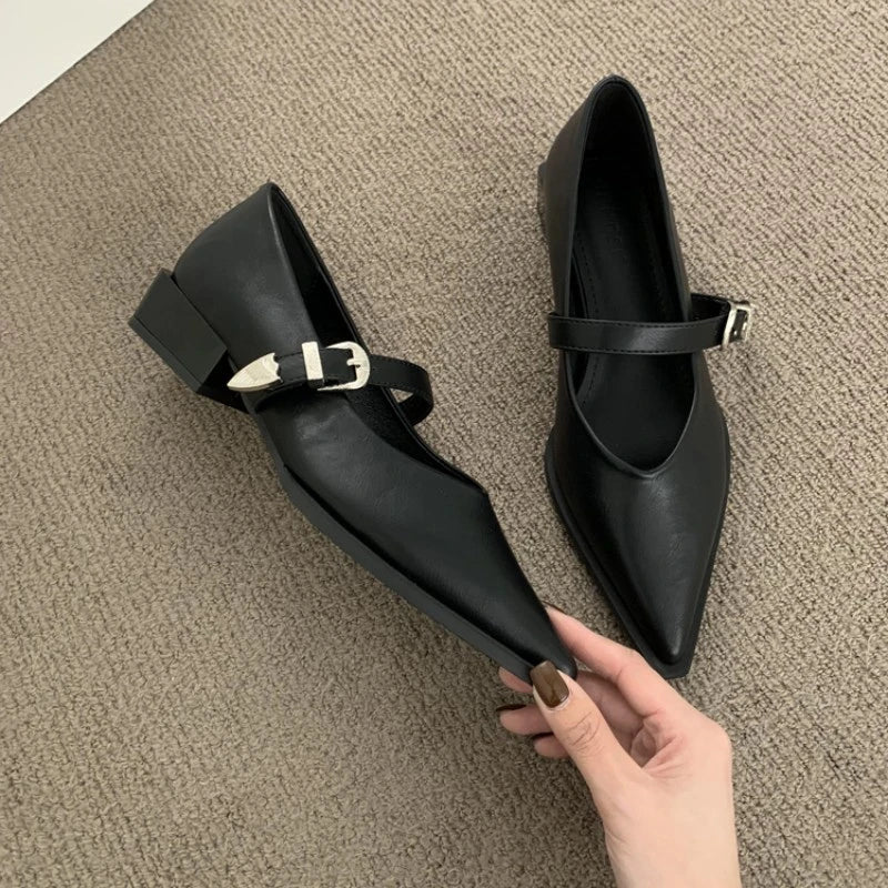 Elegant Pointed Toe Heel