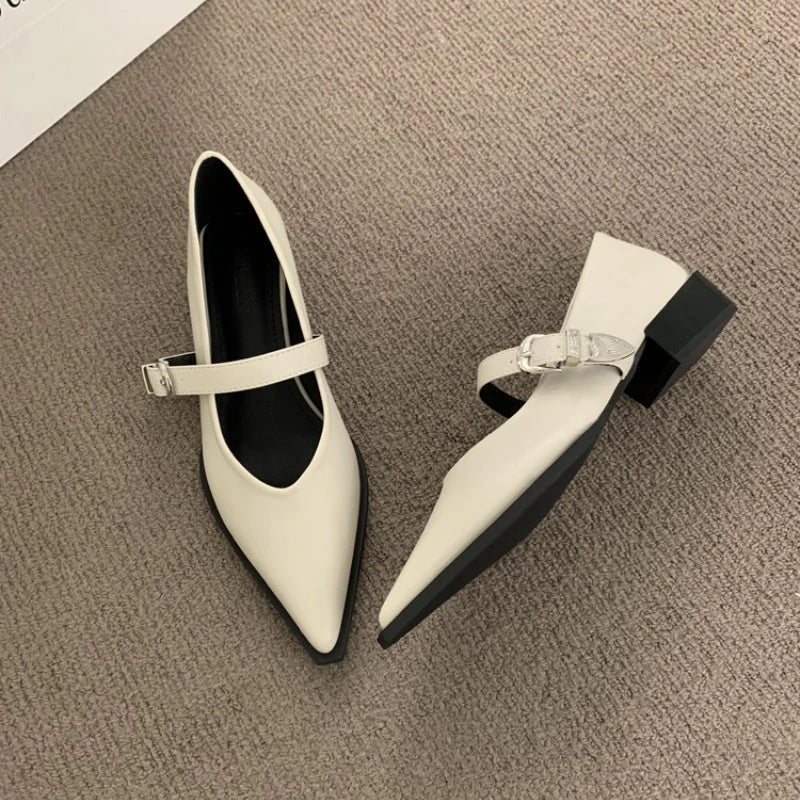 Elegant Pointed Toe Heel