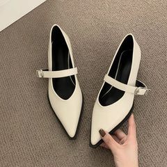 Elegant Pointed Toe Heel