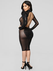 Sequin Crewneck Long Sleeve Backless Sheer Club Bodycon Dress