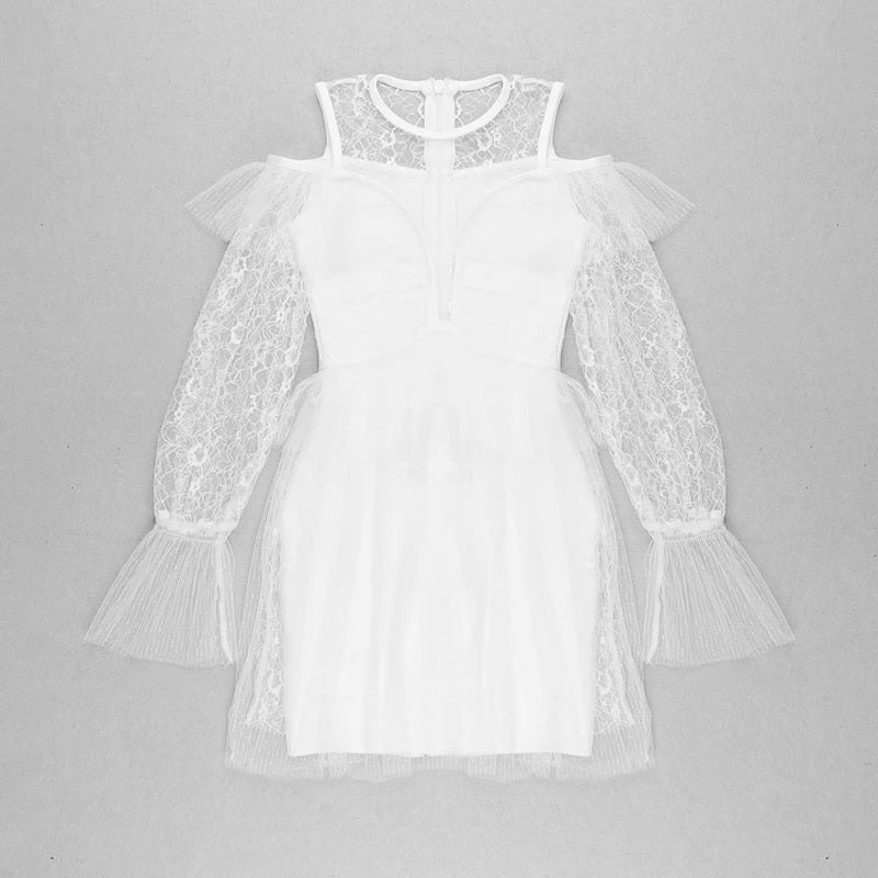 Deep V Neck Hollow Out Lace Full Sleeve Mini Dress