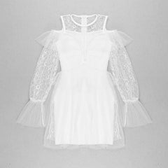 Deep V Neck Hollow Out Lace Full Sleeve Mini Dress
