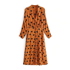 Embroidery Polka Dot Midi Dress