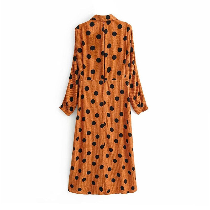Embroidery Polka Dot Midi Dress