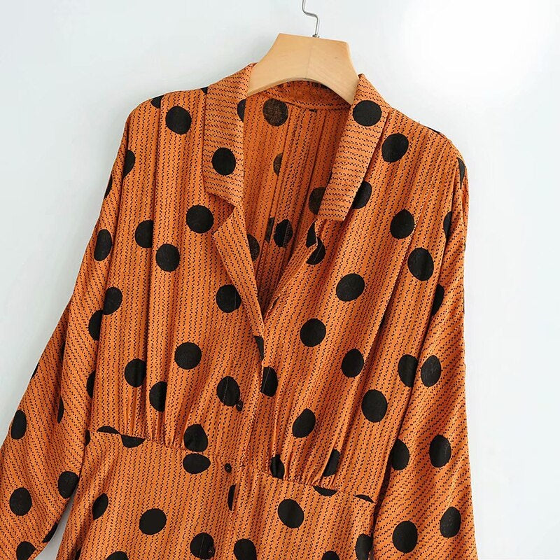 Embroidery Polka Dot Midi Dress