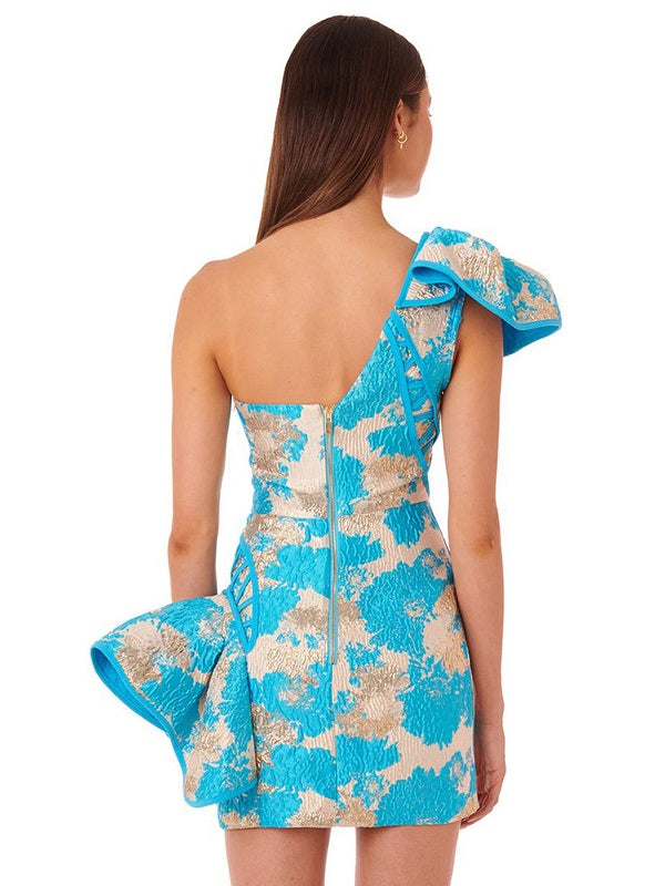 One Shoulder Sleeveless Print Party Dress