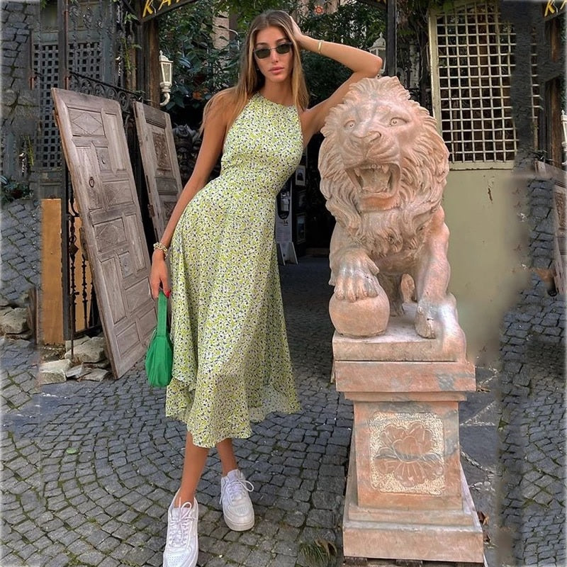 Sleeveless A-line Halter Backless Boho Dress