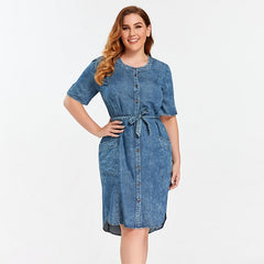 Slim Fit Casual Woven Denim Dress