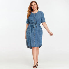 Slim Fit Casual Woven Denim Dress