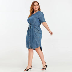 Slim Fit Casual Woven Denim Dress