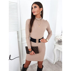 Solid Color Long Sleeve Knitted Bodycon Dress