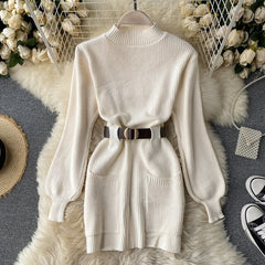 Stand Collar Long Sleeve Mini Sweater Dress