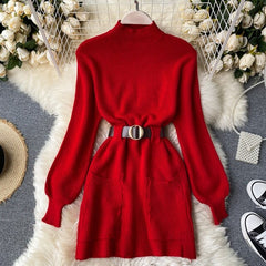 Stand Collar Long Sleeve Mini Sweater Dress