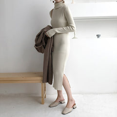 Turtleneck Full Sleeve Slim Stretch Vestidos Knitted Sweater Dress
